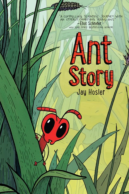 ANT STORY TP graphic novel cover