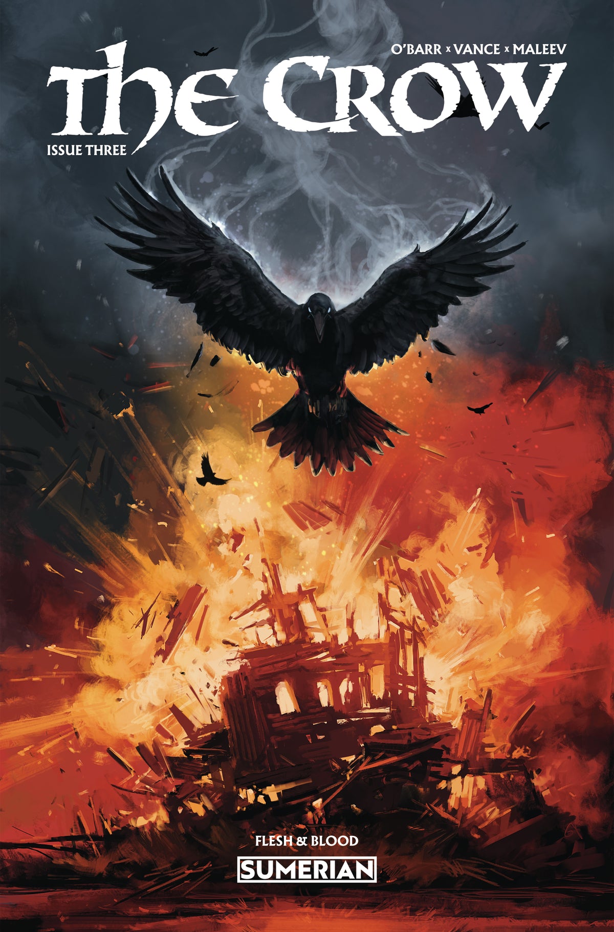 CROW FLESH AND BLOOD #3 Cover C NINJA JO VAR comic book cover