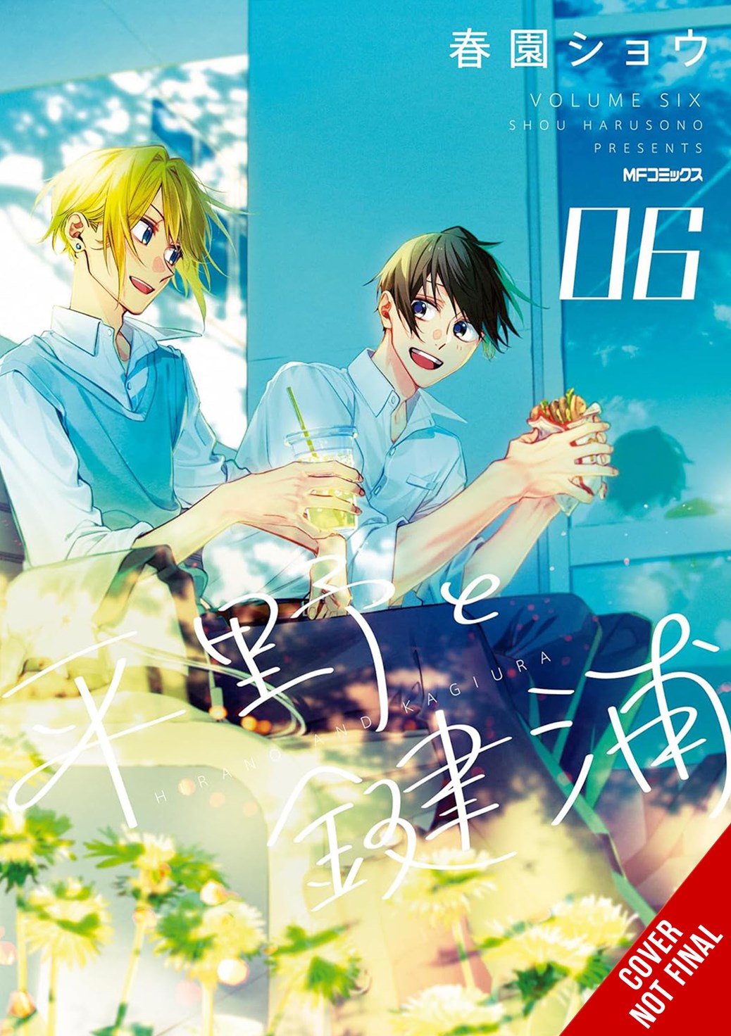 HIRANO AND KAGIURA TP VOL 06 manga cover