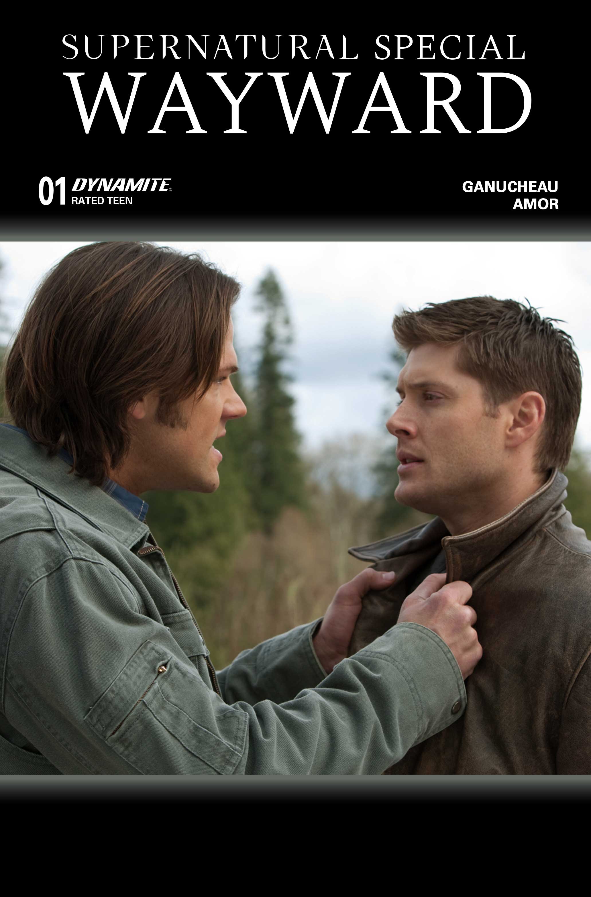 SUPERNATURAL WAYWARD SPECIAL #1 (ONE SHOT) CVR C PHOTO 2 VAR