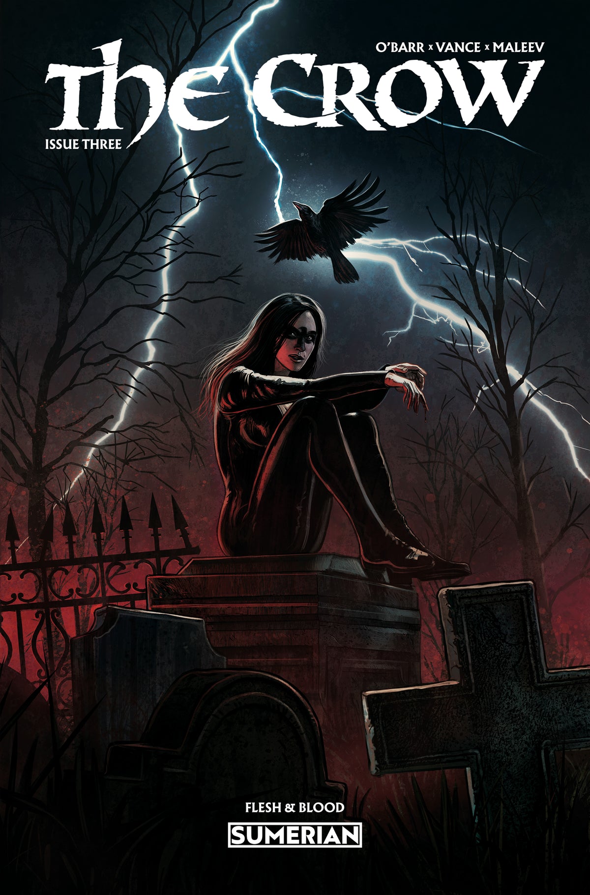 CROW FLESH AND BLOOD #3 Cover A EDUARDO SCHAAL comic book cover