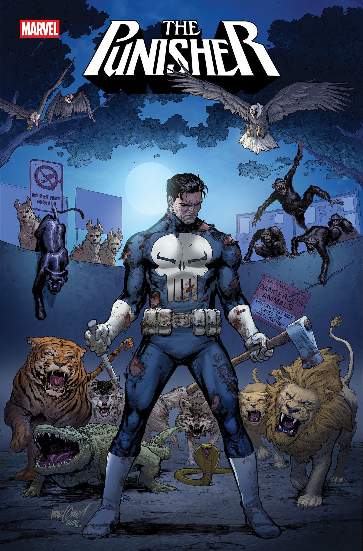 PUNISHER #11 COVER A comic book cover